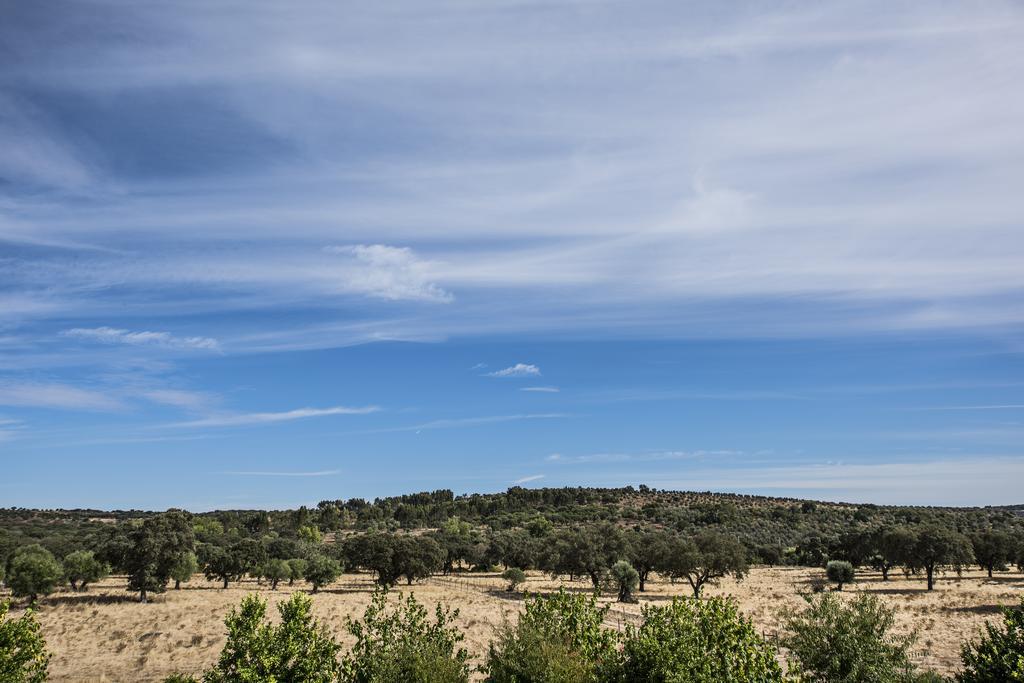 Herdade Dos Alfanges "The Barn" Viana do Alentejo Exteriör bild